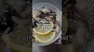 통영산 생굴은 못참지!!!매일 아침 들어와서 한정 수량만 판매!레몬소스에 찍어먹으면 난생 처음 경험하는 맛의 신세계가 펼쳐집니다!️️️#양재족발참족 #송년회장소 #크리스마스