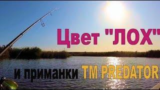 Цвет "ЛОХ" и приманки ТМ "Predator"