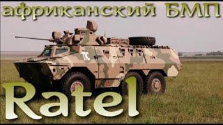 Африканский боец - БМП Ratel