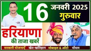 16 January 2025 Haryana News || हरियाणा की ताजा खबरें || Haryana Live News || CWB Hindi News