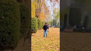 Autumn in kashmir FIFI WORLDCUP 2022 Qatar #fifa22 #qatarworldcup #qatar  Abid clicks