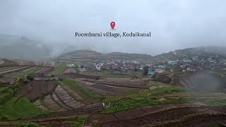 Poombarai village, Kodaikanal | #poombarai #shorts #kodaikanal