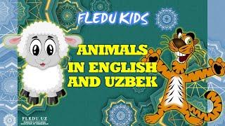 Animals in English and Uzbek. Ingliz va o'zbek tillarida hayvonlar nomi. FLEDU KIDS