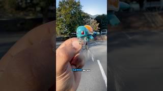 Can The SQUIRTLE Lure Catch a Fish?