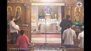 St Mary & St Antonios Coptic Orthodox Church Live Stream