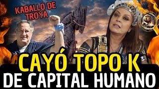 ESCÁNDALO  CAYÓ EL TOPO K DE CAPITAL HUMANO   PETTOVELLO Y MILEI VAN POR TODOS