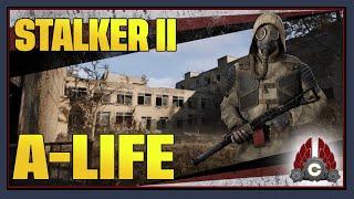 S.T.A.L.K.E.R. 2: Heart Of Chornobyl | What Is A-Life System