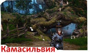 Black Desert - Камасильвия