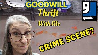 GOODWILL CRIME SCENE?  This Was An Interesting Thrifting Trip!