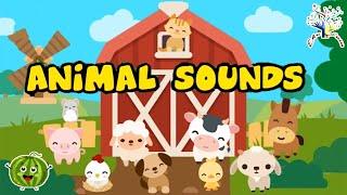 Hooray Animals  Sound Song H1LS || Kids Animal Songs and Nursery Rhymes  || EduFam~