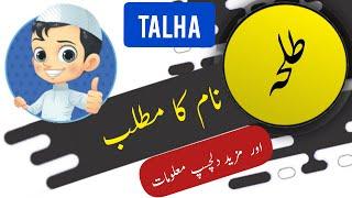 Talha name meaning in urdu and English with lucky number | Islamic Baby Boy Name | Ali Bhai