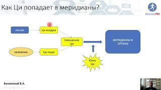 Акупунктура. Современный взгляд на иглоукалывание. Лекция 2