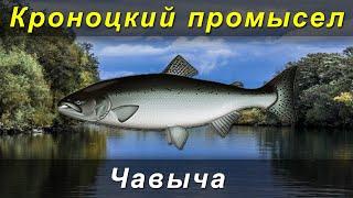 [РР3] КРОНОЦКИЙ ПРОМЫСЕЛ #1. Задание на чавычу.