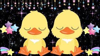 Twinkle twinkle little star | Sleeping song for babies | Bedtime lullaby | Poems | @Cocomalaanrhymes