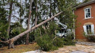 Experts confirm tornado touched down in Fergus, Ont.