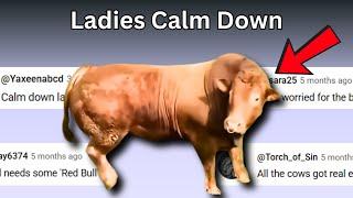 Ladies Calm Down | Chat Music | Redneck Vibe