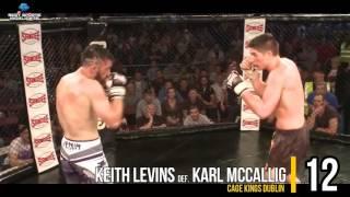 TOP 30 KNOCKOUTS MMA 2015