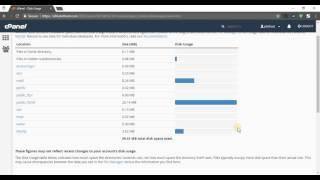 How to check your disk usage from cPanel