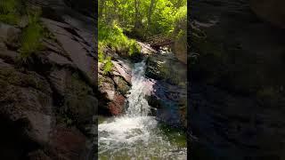Ninglinspo Belgium  ️#youtubeshorts #short #travel #parks #belgium #hiking