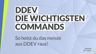 DDEV - die wichtigsten Befehle und Tools