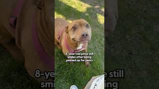 8-Year-Old Pittie Still Smiles After Being Passed Over For Years | The Pack