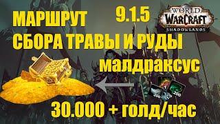 30.000 ГОЛД/ЧАС ВОЗДУШНЫЙ МАРШРУТ СБОРА ТРАВЫ И РУДЫ WOW SHADOWLANDS 9.1.5 |  МАЛДРАКСУС