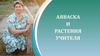 Аяваска и растения учителя - первая встреча