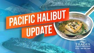 3MMI - Pacific Halibut: 2025 Outlook, Spawning Biomass Increases, Interim TCEY