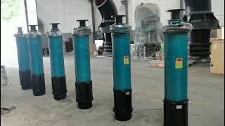 Bottom Suction Submersible Water Pump