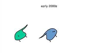 Birb Meme