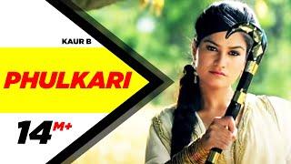 Phulkari | Desi Robinhood | Kaur B | Full Music Video 2015