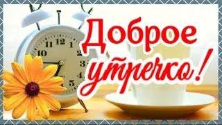 Уже не спишь? Доброе утречко!  Прекрасного денечка!