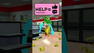 HELP Bananacat Choose #gmod 