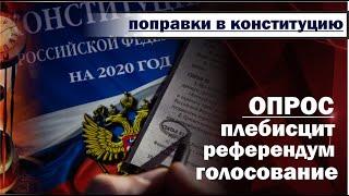 80. Поправки в конституцию 2020. Голосование, референдум или плебисцит?