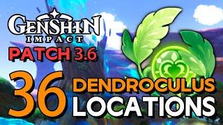 Genshin Impact 3.6 - All 36 Dendroculus Locations