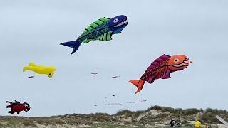 Skies over Fanø burst with colour as International Kite Festival begins