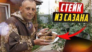 Carp steak, best recipe, grilled fish