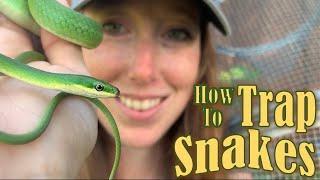 How to Trap Snakes