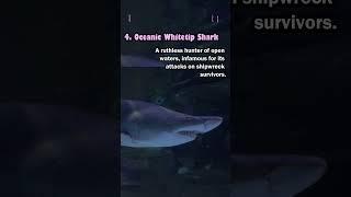 5 Most Deadliest Sharks That Rule the Oceans