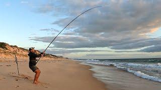 Solo Beach Fishing: 3 Top Fish In One Session! CATCH and COOK