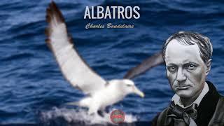 Albatros (Şiir - Charles Baudelaire)