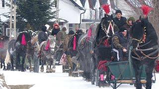 Parada cailor ,,Ziua Cărăușului” la Ferma Rîmbu Putna-Bucovina 16 Februarie 2025 ep 1