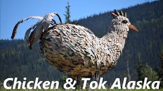 Alaska Tour - Chicken & Tok, AK - Stop #10