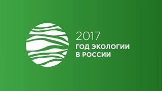 2017 - год экологии в России