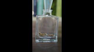 if you’re a tiny ant in Japan and need a new home hit up @MOSSGREEN #DIY #terrarium #moss
