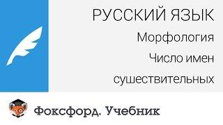 Русский язык. Морфология: Число имен существительных. Центр онлайн-обучения «Фоксфорд»