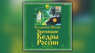 Звенящие кедры России. Второе издание - Владимир Мегре - Аудиокнига