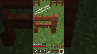 Just needed one more fence #minecraft #letsplay #shorts