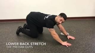 Child's pose [low back stretch]