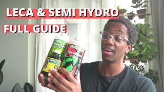 Grow bigger plants using LECA | Semi hydroponics for houseplants
